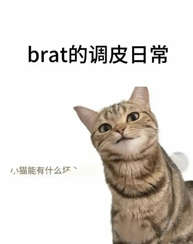 西檬之家字母圈的小圈如何成为你的安全港? 一