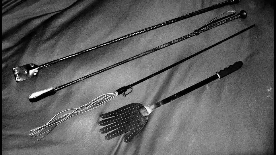 西檬之家字母圈究竟是什么?探索你的独特身份与界限 一