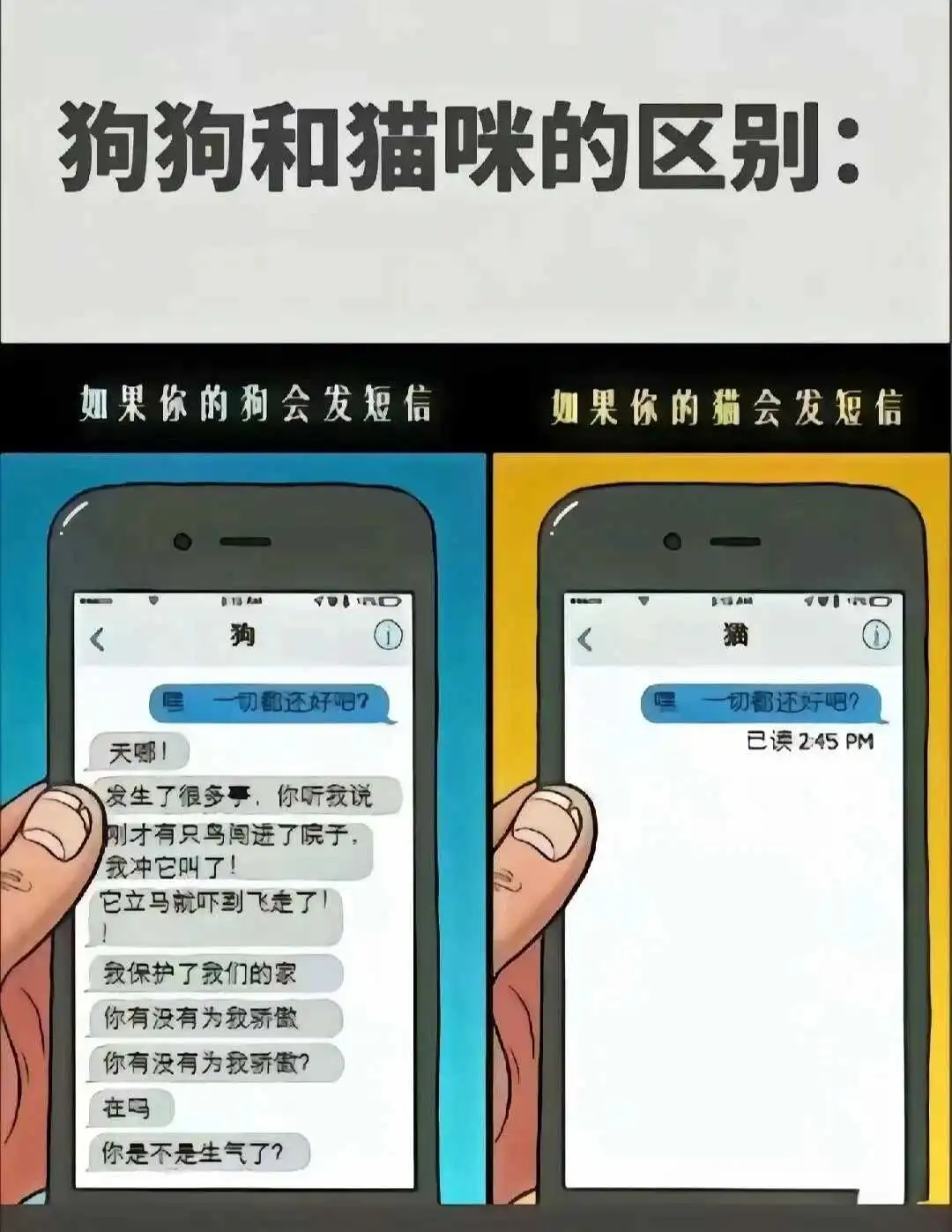 西檬之家s属性解析:字母圈中的支配与臣服关系探讨 一