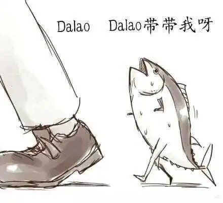 西檬之家k8猫系是什么?了解这个字母圈的新宠儿! 一