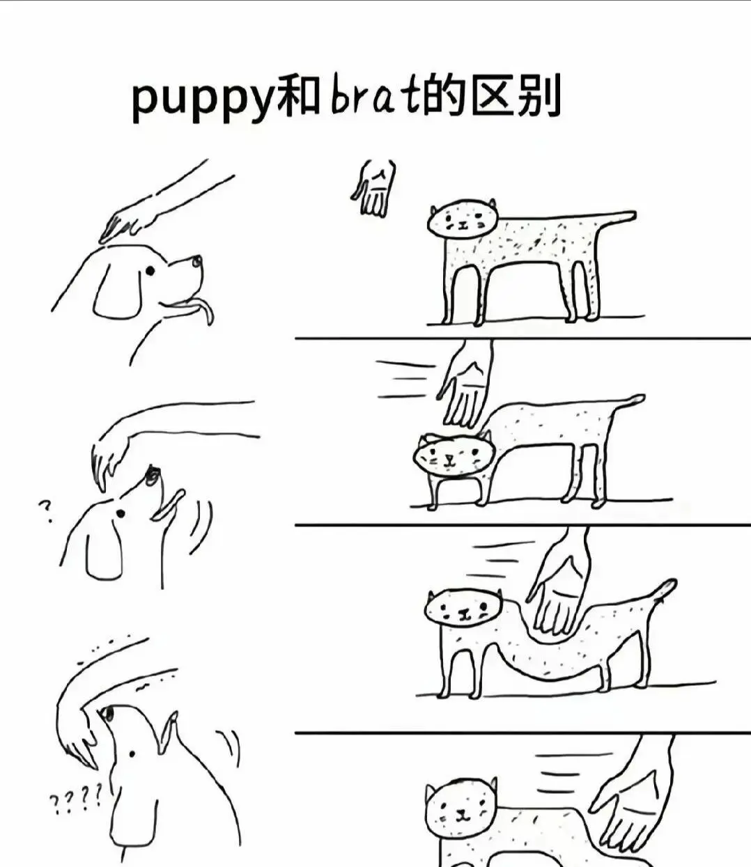 西檬之家m倾向是什么?字母圈新人必懂的秘密解析 一