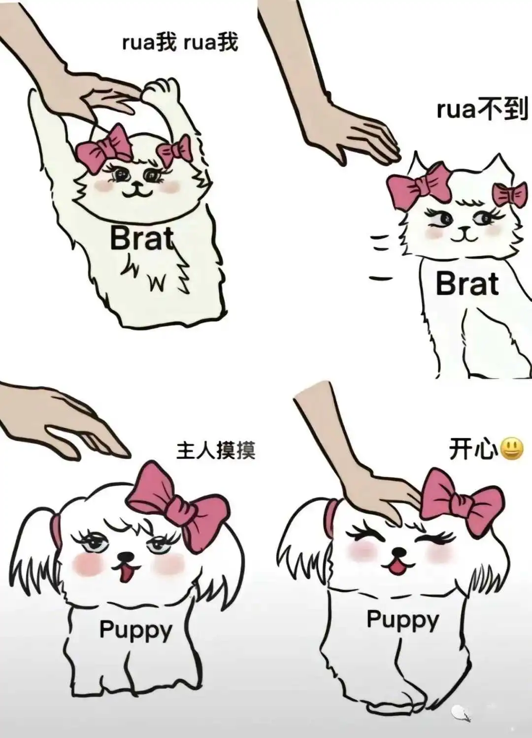 西檬之家SM亚文化揭秘:入门指南带你了解字母圈的魅力 一