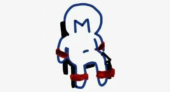 西檬之家k8猫系是什么?你的字母圈属性 一