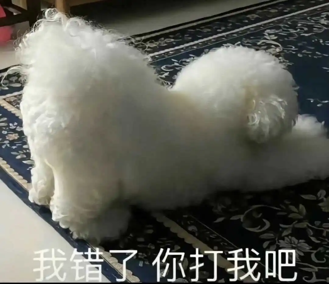 西檬之家字母圈DS关系入门指南 一