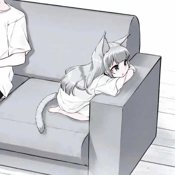 西檬之家Dom是什么意思? 一