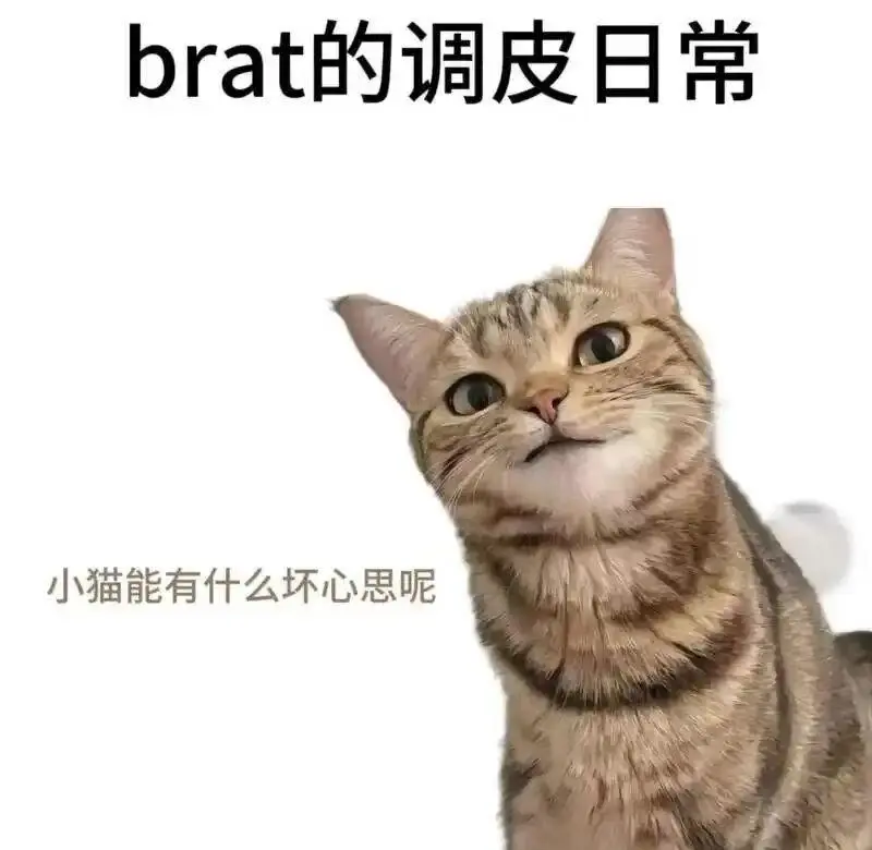 西檬之家字母圈M倾向是什么意思? 一