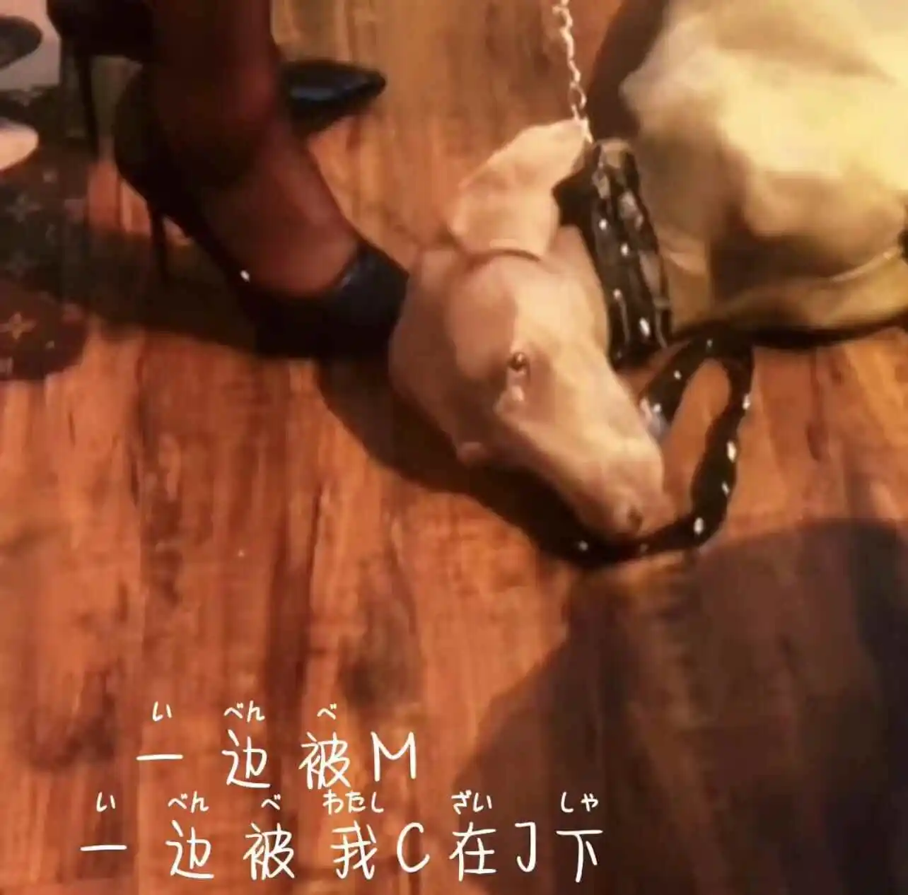西檬之家字母圈的aftercare是什么?你的事后安抚做好了吗? 一