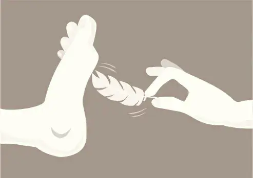 西檬之家TKTickle是什么? 一