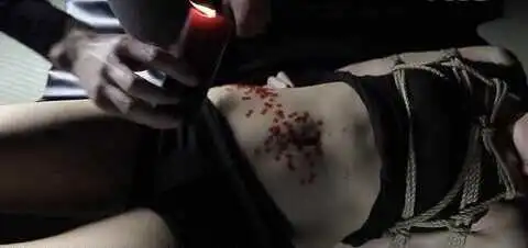 西檬之家字母圈入圈指南:SSC原则与安全词详解 一